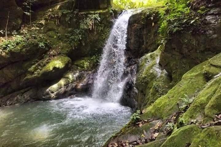 Hotel Posada Campestre San Juan Monterrey Dış mekan fotoğraf